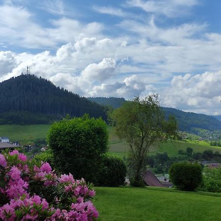 Traumblick Fewo Mit Pool Baiersbronn Exteriör bild