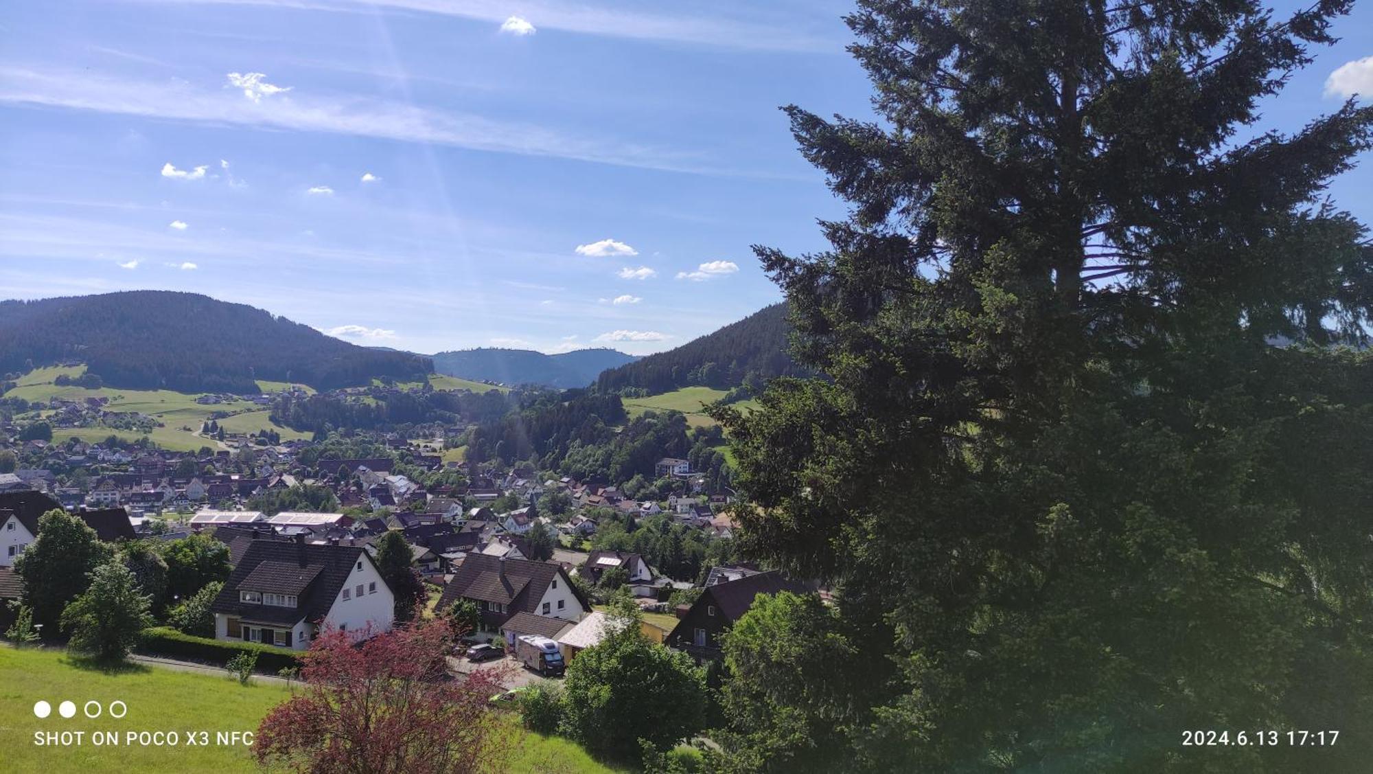 Traumblick Fewo Mit Pool Baiersbronn Exteriör bild