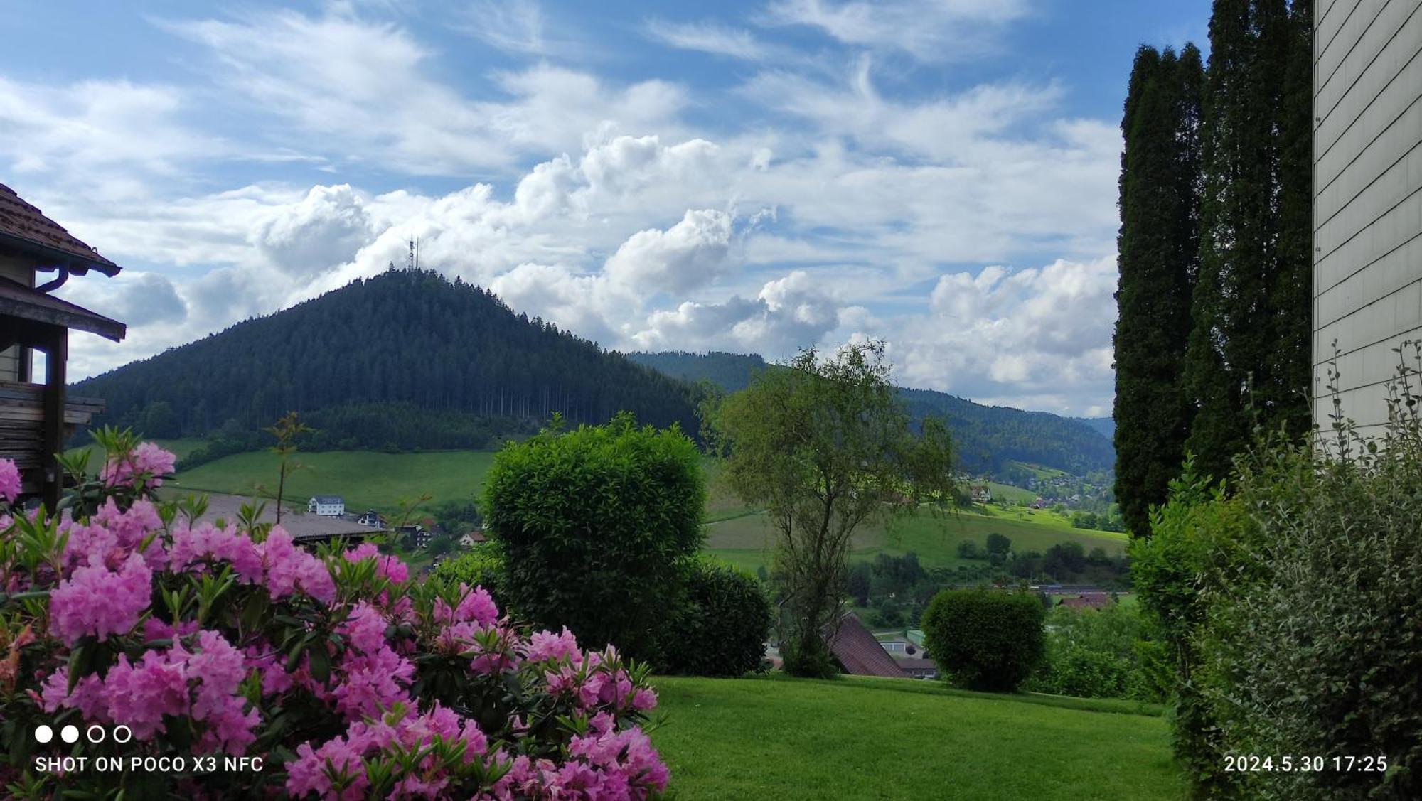 Traumblick Fewo Mit Pool Lägenhet Baiersbronn Exteriör bild