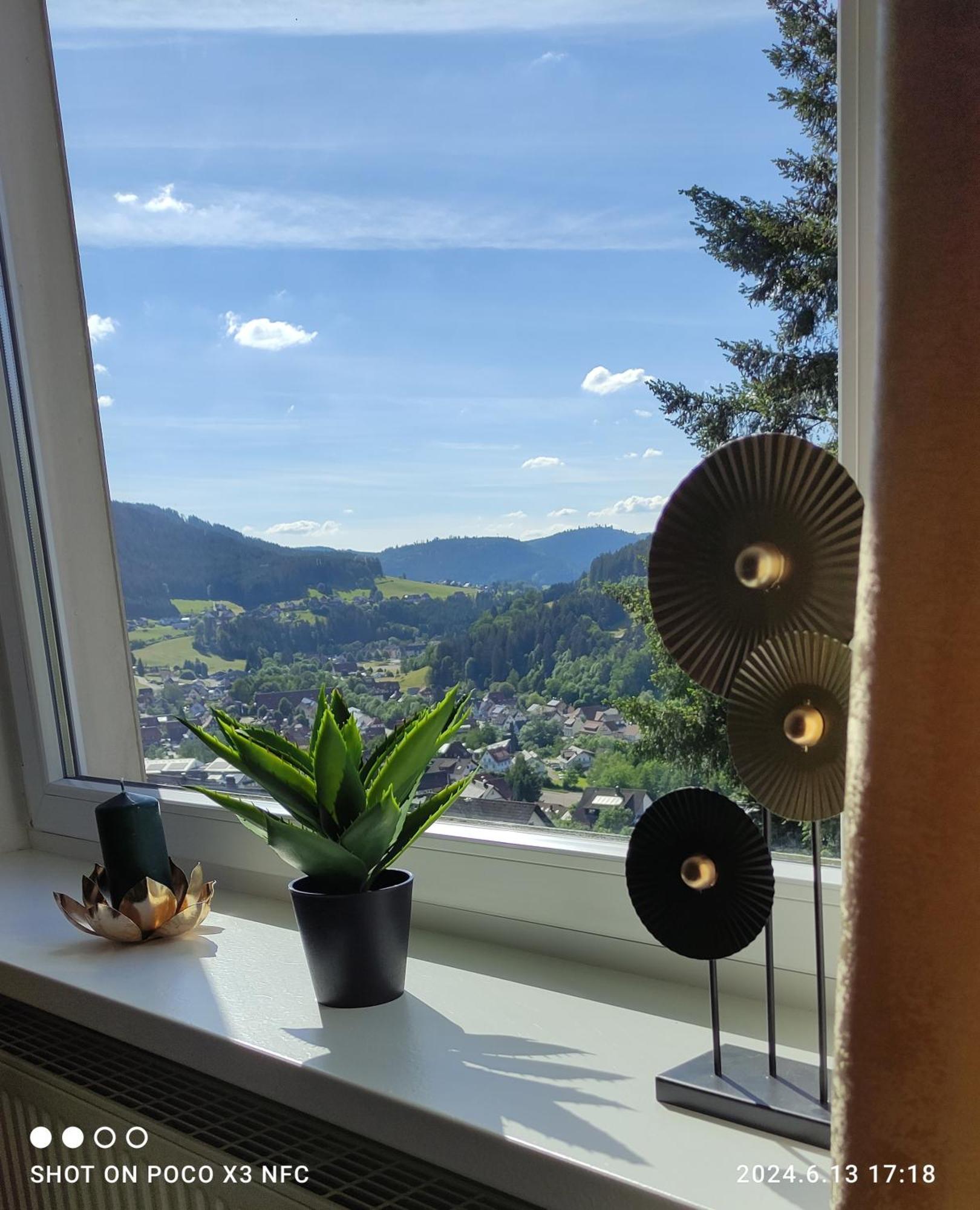 Traumblick Fewo Mit Pool Baiersbronn Exteriör bild